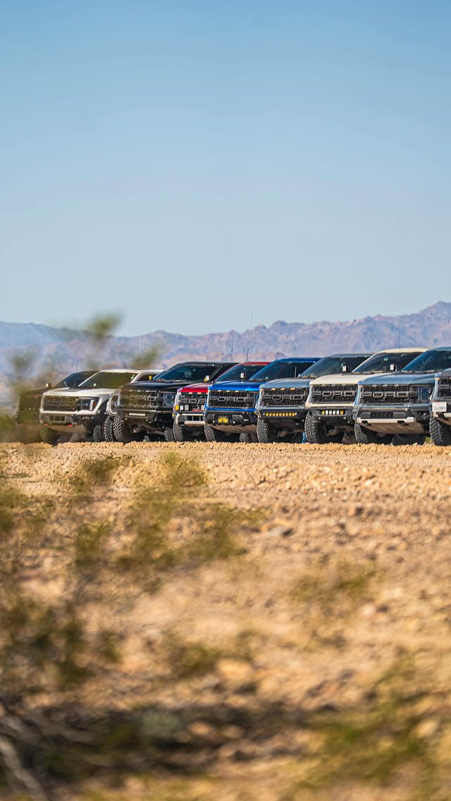 NorCal Raptor Runs