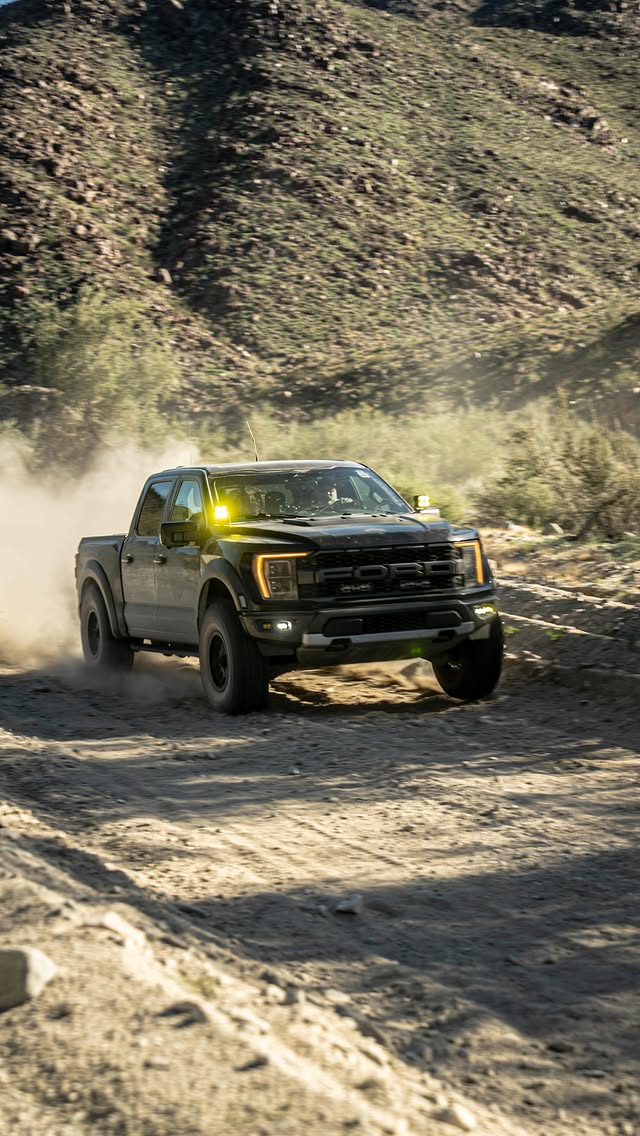 NorCal Raptor Runs