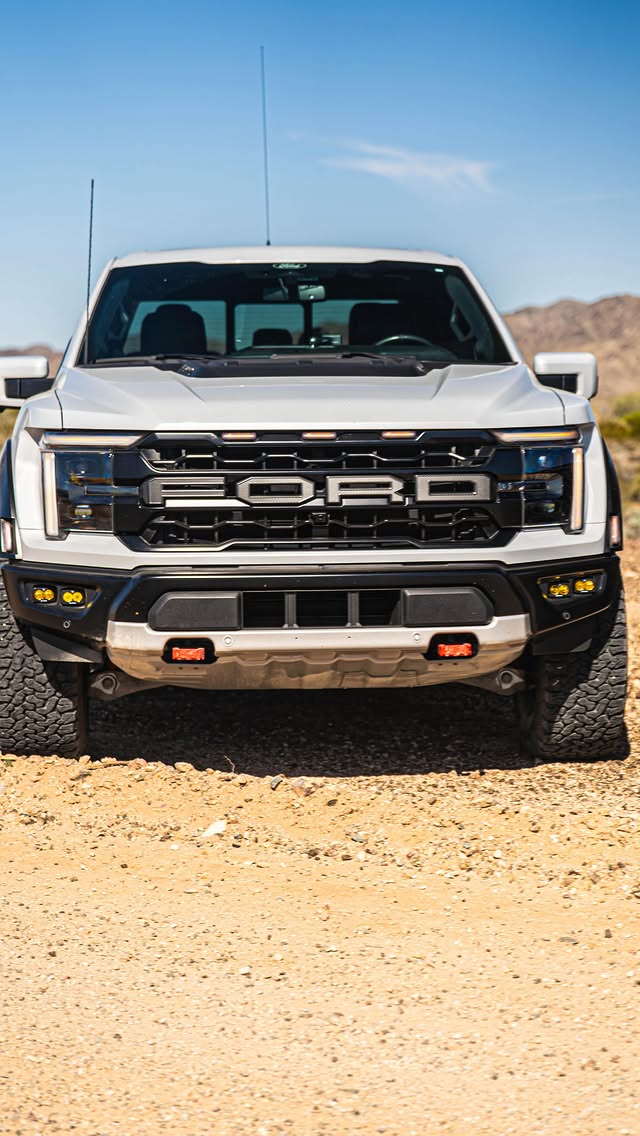 NorCal Raptor Runs