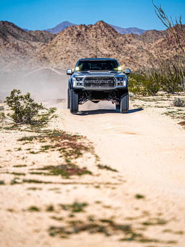 NorCal Raptor Runs