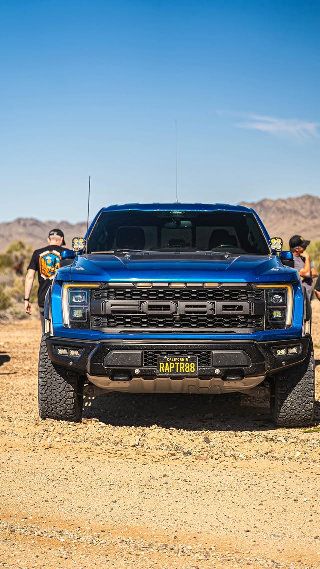 NorCal Raptor Runs