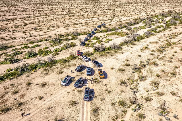 SoCal Raptor Runs